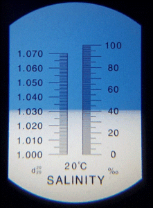 salinity-specific-gravity-scale
