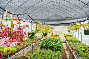 luvinka-tr933a-for-green-house