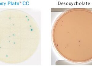 Easy-Plate-CC-Coliform
