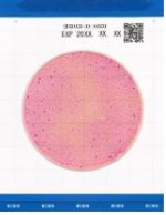 Easy-Plate-EB-Enterobacteriaceae