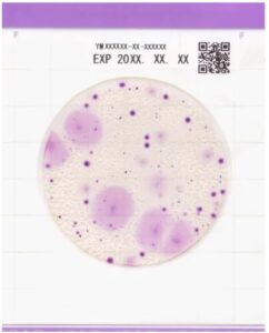 EASY-PLATE-YMR-Yeast-Mould-Rapid