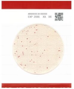 Easy-Plate-AC-R-Aerobik-hizli