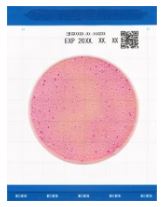 Easy-Plate-EB-Enterobacteriaceae