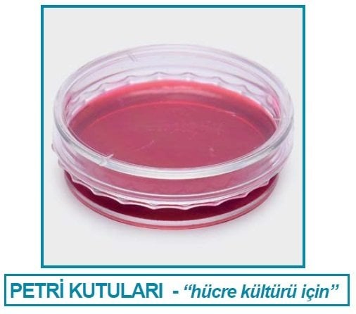 Petri-kabi-hucre-kulturu-icin